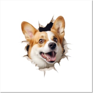 Corgi Dog cracked wall Posters and Art